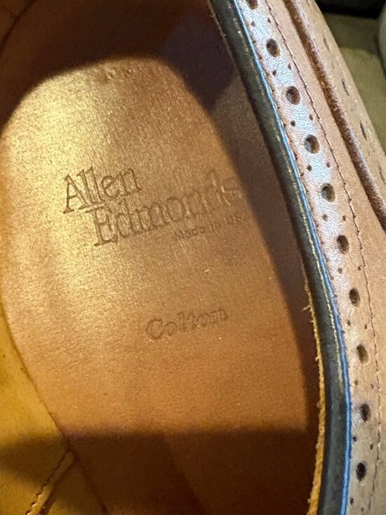 Allen Edmonds Colton men\'s dress shoes main image 5